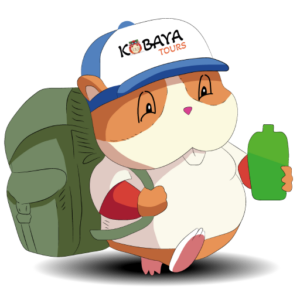 Kobaya Tours