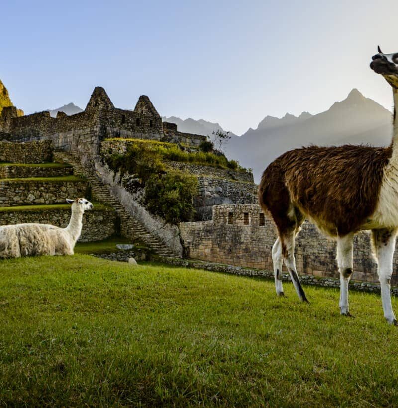 Machu Picchu Destination